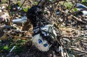 عکس|بقایای انفجار هواپیمای اوکراینی در شهریار